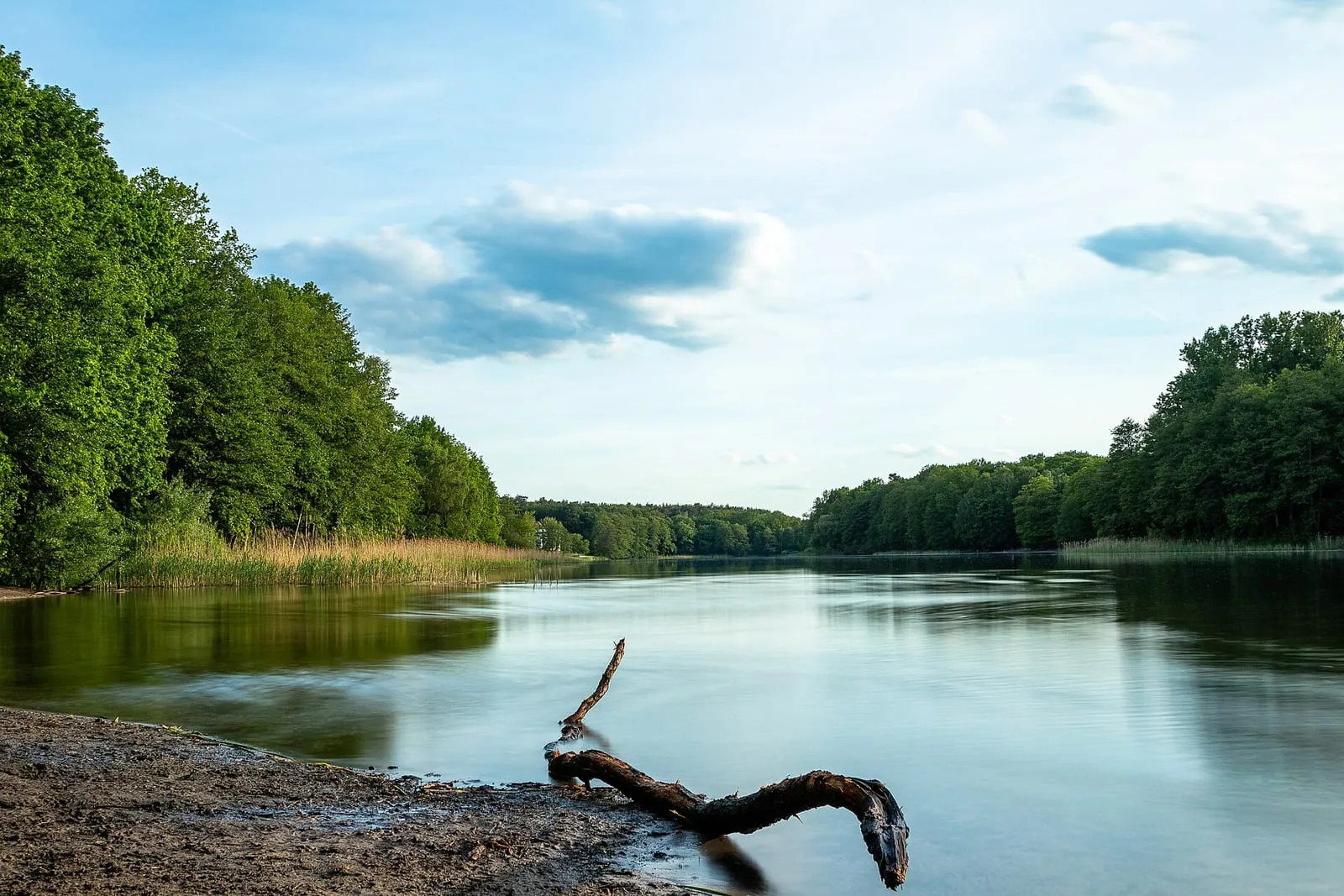 Rive de sable du Grunewaldsee par une journée d'été, lac forestier de l'ouest de Berlin bordé d'arbres