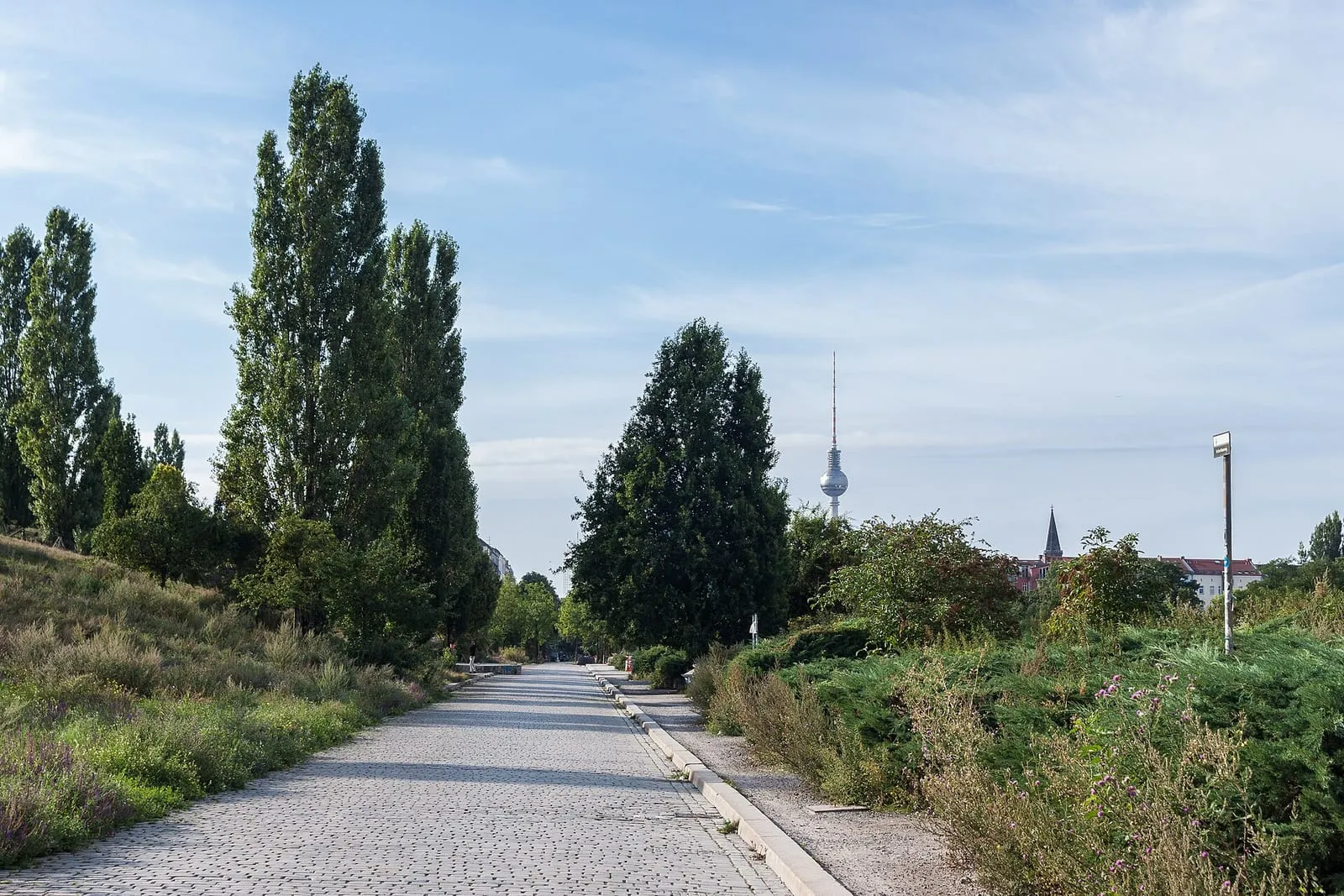 Une pelouse du Mauerpark à Berlin, des promeneurs assis sur l'herbe