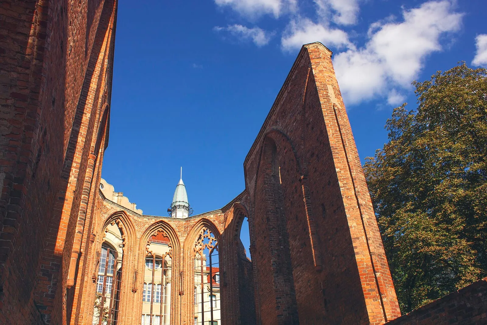 Les murs de briques de la Klosterruine Berlin à ciel ouvert, vus depuis le parc