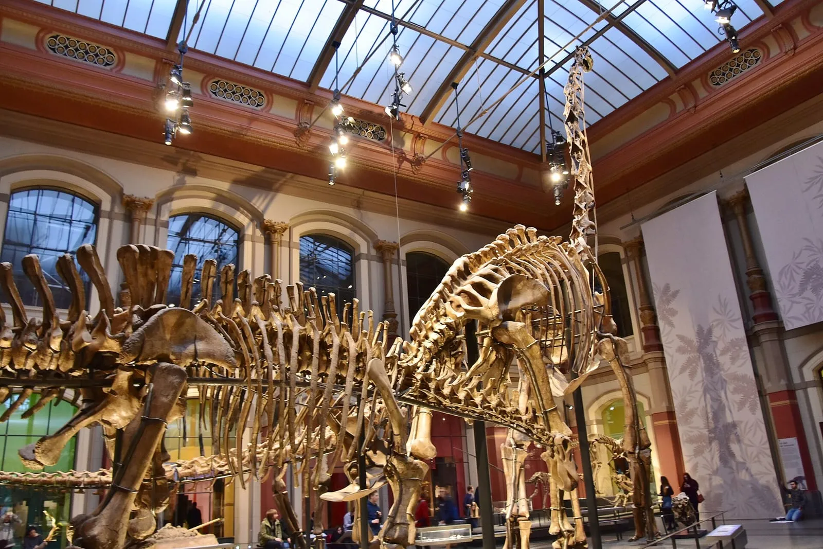 La grande salle des dinosaures du Museum für Naturkunde, ses fossiles et sa verrière du 19e siècle