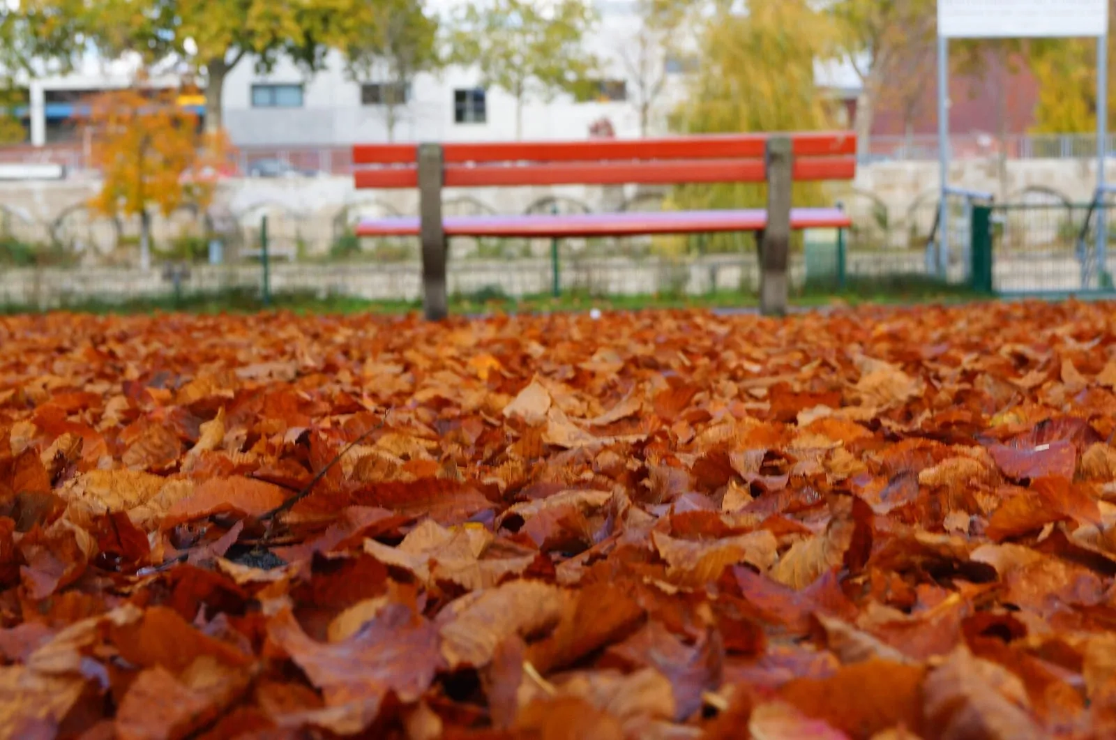 Tapis de feuilles mortes d'automne et banc rouge dans un parc de Berlin