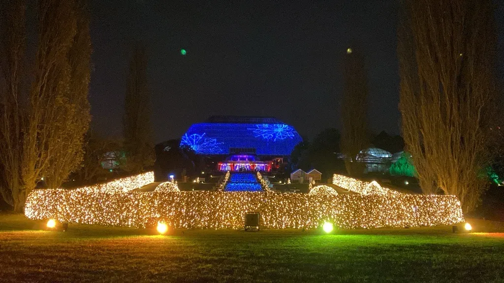 Serre tropicale illuminée en bleu lors du Christmas Garden au jardin botanique de Berlin