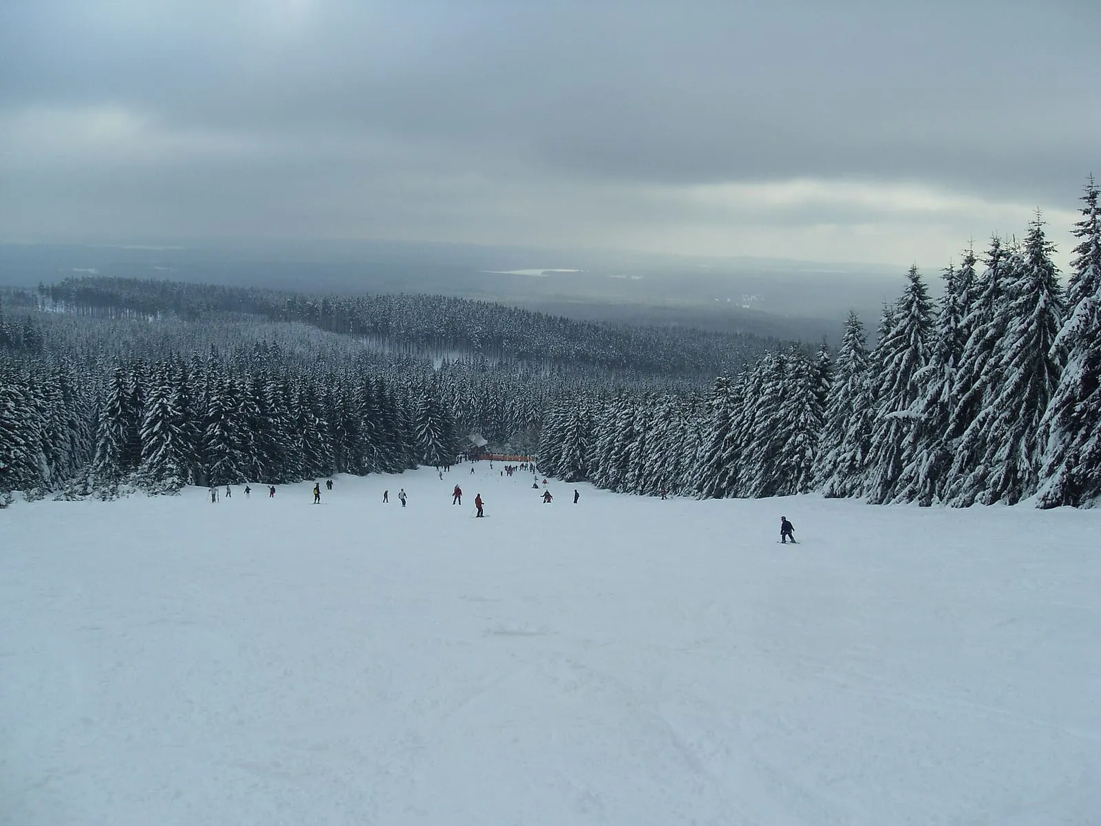 Skieurs et snowboardeurs sur la piste du Wurmberg, encadrée de sapins enneigés