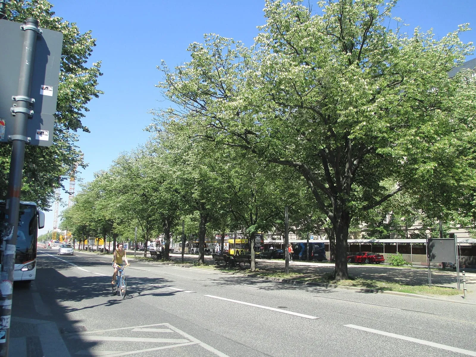 La promenade centrale d'Unter den Linden bordée de tilleuls, animée de passants en été, avec ses façades historiques