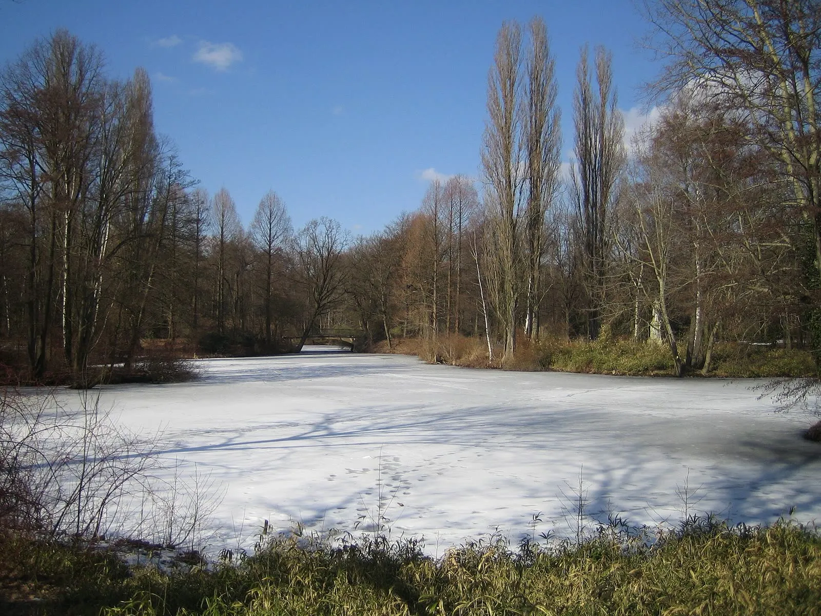Un étang gelé du Tiergarten en hiver, entouré de peupliers dénudés et d'un petit pont de pierre